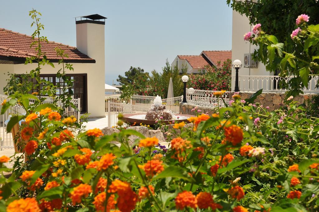 Otel Nicholas Park